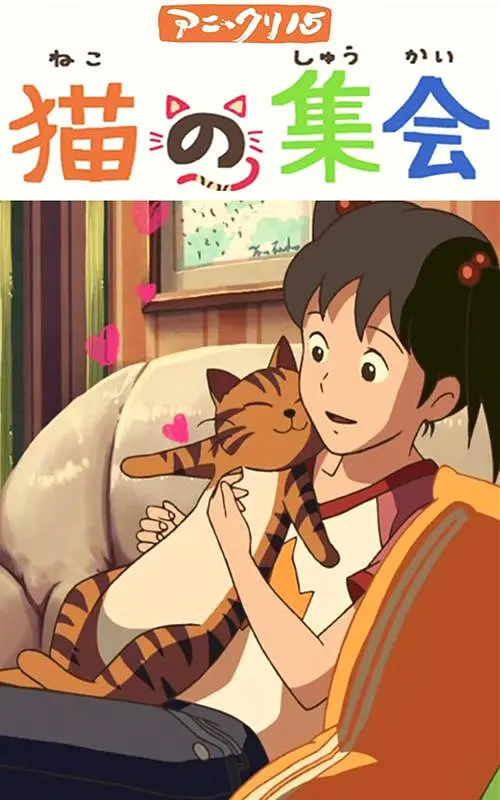 91视频黄